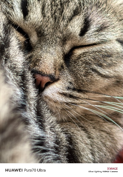 HUAWEI Pura 70 锐意风尚之夜,先锋姿态诠释锐意向前