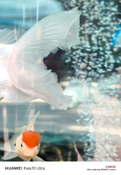 HUAWEI Pura 70 锐意风尚之夜,先锋姿态诠释锐意向前