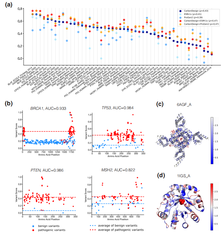 登Nature子刊，中科院计算所团队开发CarbonDesign，进行准确且稳健的蛋白质序列设计