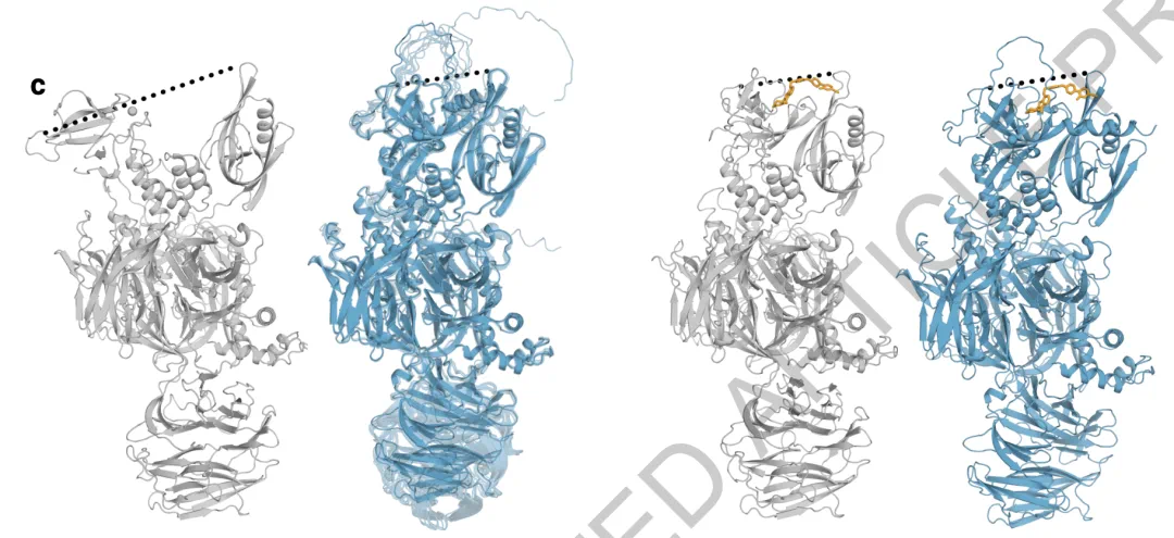 填补AlphaFold3空白，字节跳动提出物理引导的方法让蛋白质动起来