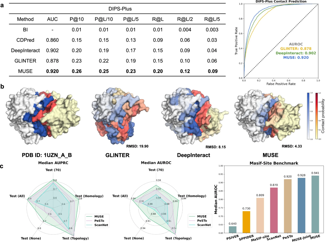 SOTA性能,多尺度学习,中山大学提出蛋白质-药物相互作用AI框架