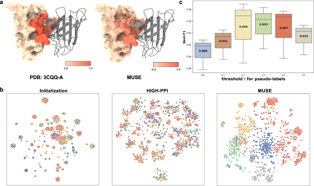 SOTA性能,多尺度学习,中山大学提出蛋白质-药物相互作用AI框架