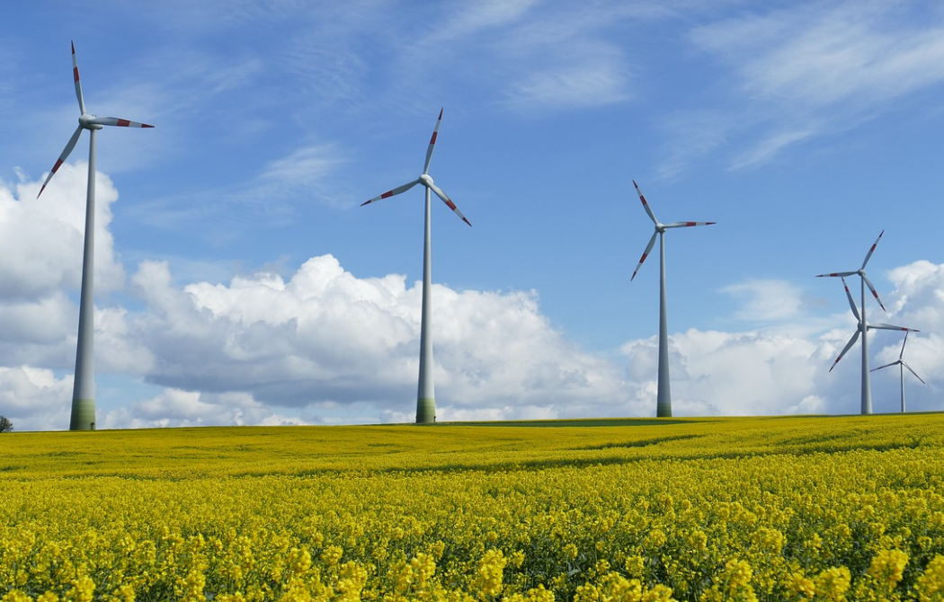 2024 年 6 月新规汇总:明确禁止使用有毒有害快递包装;已故存款人账户提取 5 万元以下免公证