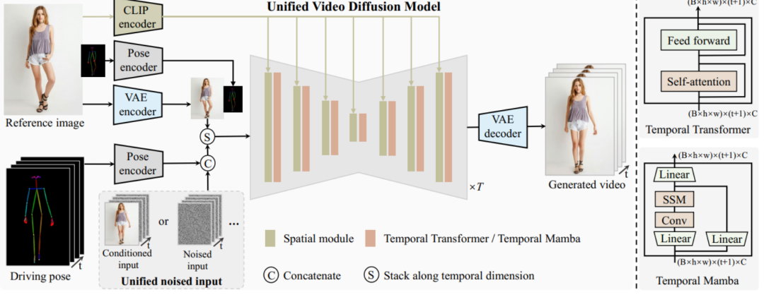 支持合成一分钟高清视频,华科等提出人类跳舞视频生成新框架UniAnimate