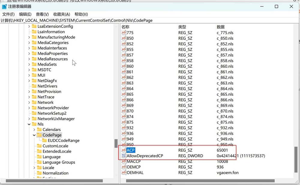win10电脑怎么更改系统编码? Win10修改系统编码的方法