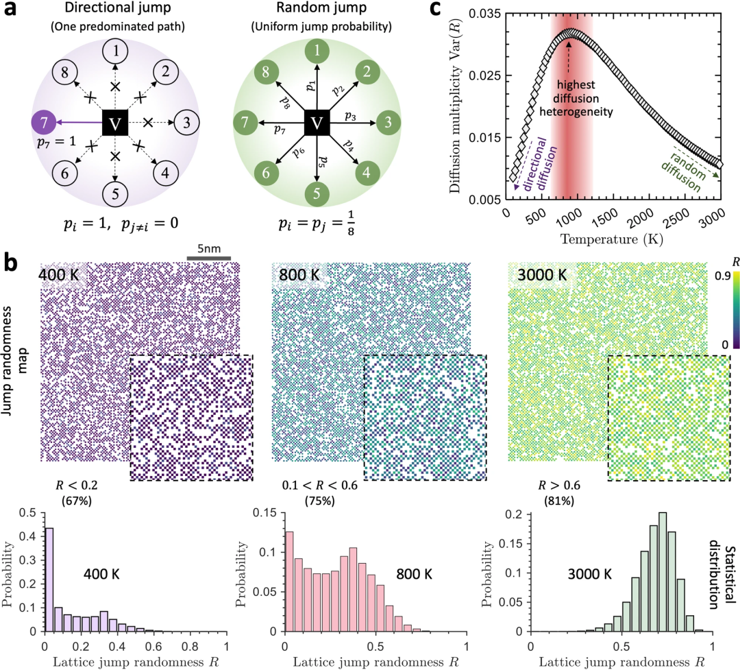 探索复合材料中的原子扩散,加州大学开发神经网络动力学方法
