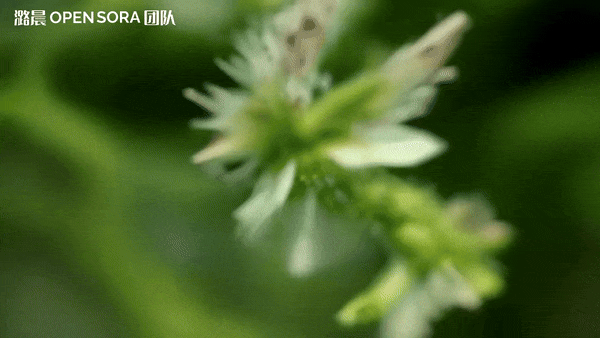 单镜头16秒720p高清视频一键生成，开源版Sora又有新惊喜了