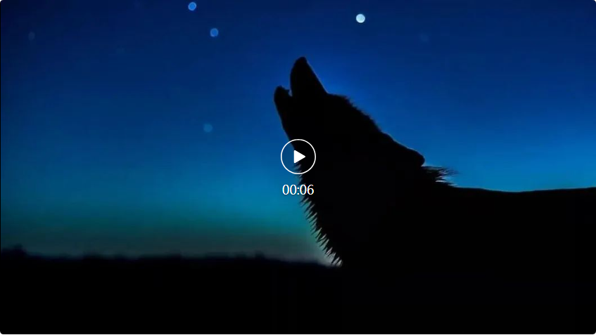 杀疯了!谷歌卷视频到语音,逼真音效让AI视频告别无声!