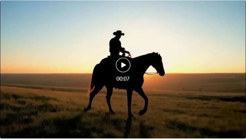 杀疯了!谷歌卷视频到语音,逼真音效让AI视频告别无声!