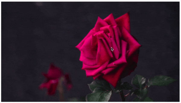 CVPR 2024全部奖项公布！近万人线下参会，谷歌华人研究员获最佳论文奖