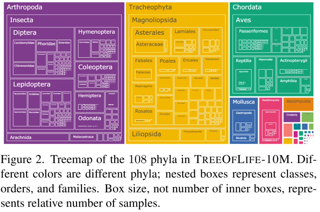 CVPR 2024全部奖项公布！近万人线下参会，谷歌华人研究员获最佳论文奖