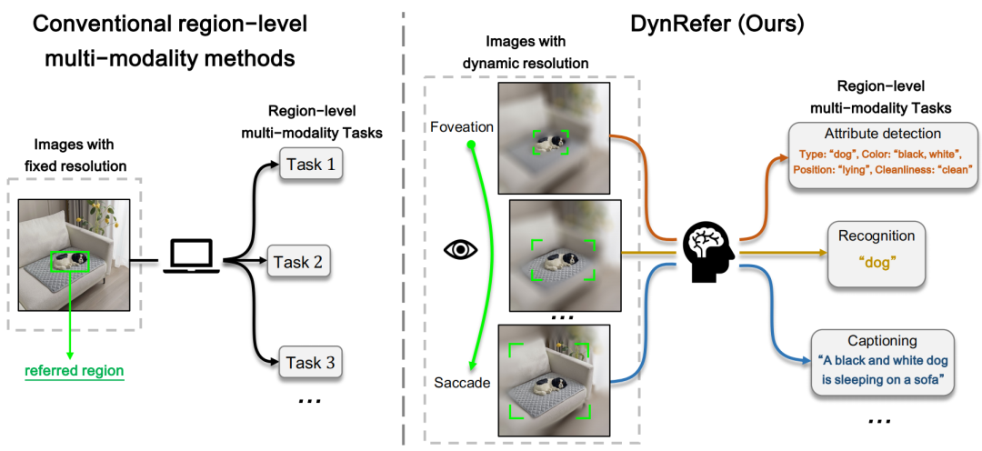 超越CVPR 2024方法，DynRefer在区域级多模态识别任务上，多项SOTA