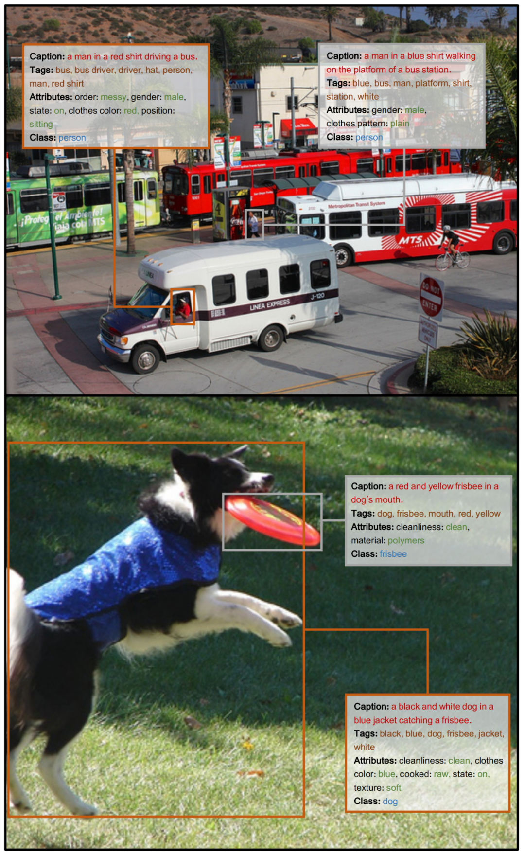 超越CVPR 2024方法，DynRefer在区域级多模态识别任务上，多项SOTA