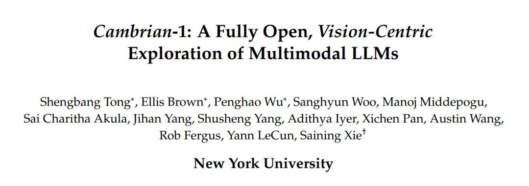 寒武纪1号诞生:谢赛宁Yann LeCun团队发布最强开源多模态LLM