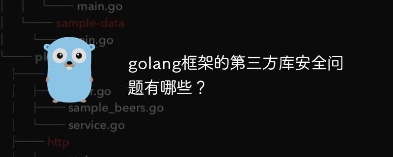 golang框架的第三方库安全问题有哪些?