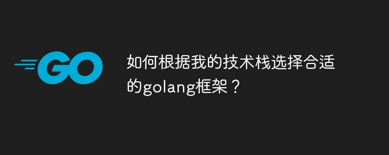 如何根据我的技术栈选择合适的golang框架?