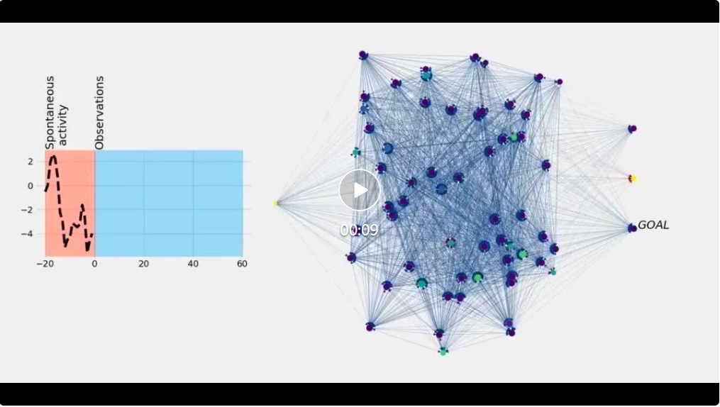 像生物网络一样「生长」,具备「结构可塑性」的自组织神经网络来了