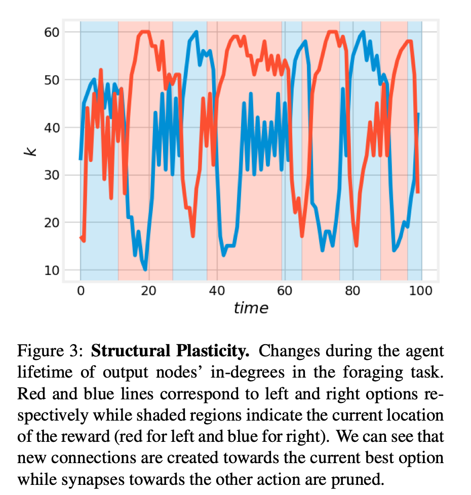像生物网络一样「生长」,具备「结构可塑性」的自组织神经网络来了