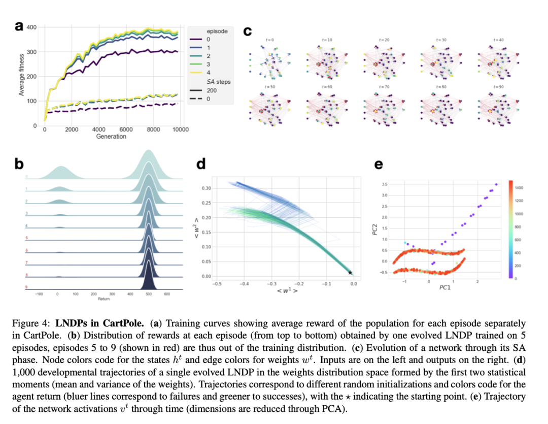 像生物网络一样「生长」,具备「结构可塑性」的自组织神经网络来了