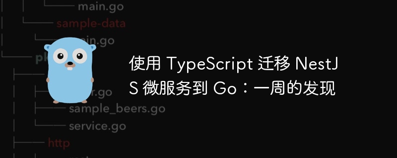 使用 TypeScript 迁移 NestJS 微服务到 Go:一周的发现