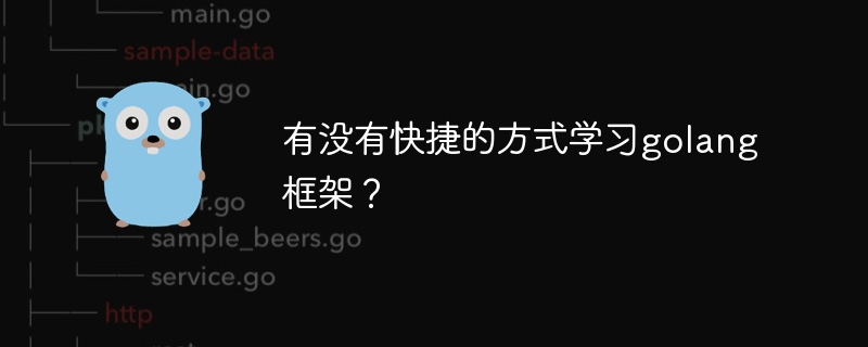 有没有快捷的方式学习golang框架?