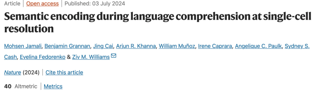 第一次,语言的神经激活被定位到细胞级