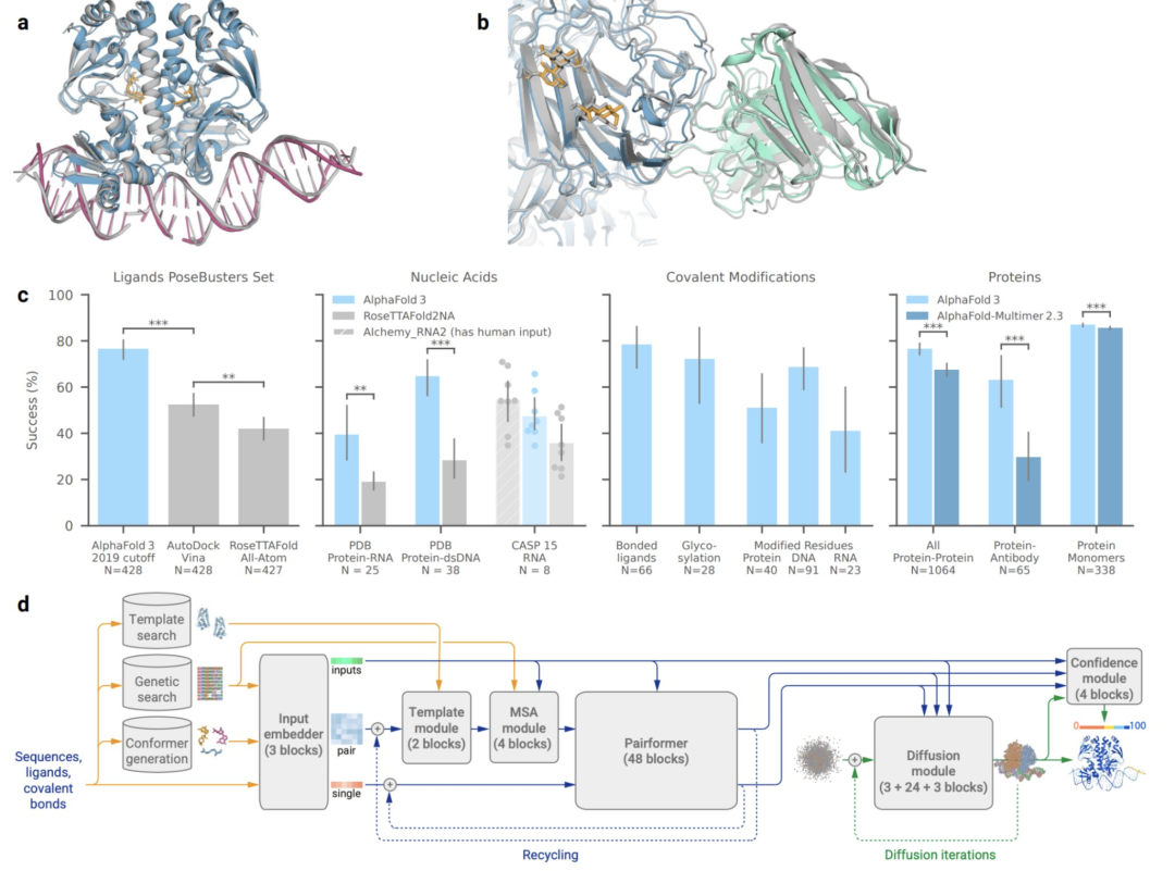 AlphaFold 3 重磅问世,全面预测蛋白质与所有生命分子相互作用及结构,准确性远超以往水平