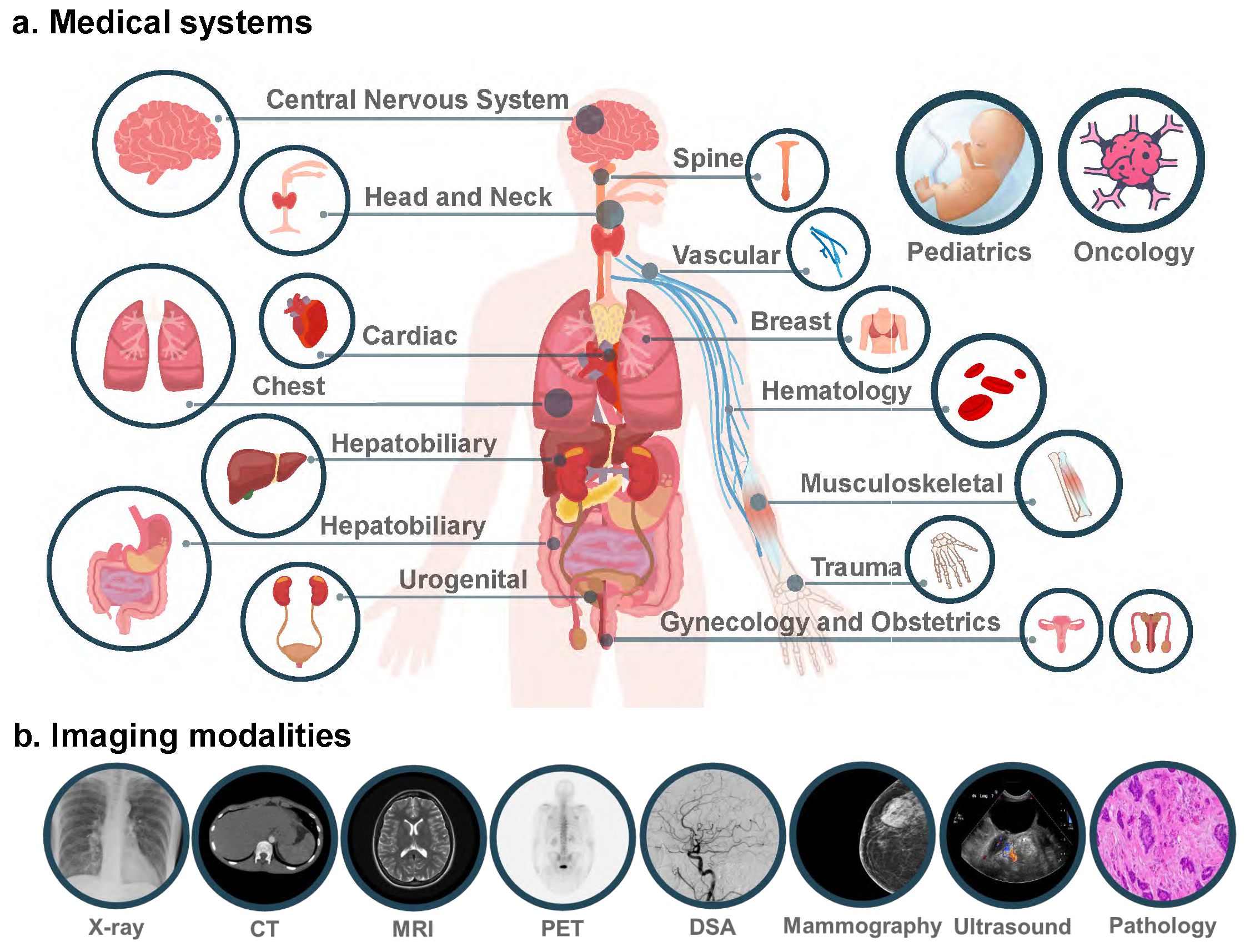 178页！GPT-4V（ision）医疗领域首个全面案例测评：离临床应用与实际决策尚有距离