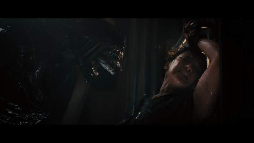 太空惊悚电影《异形:夺命舰》确认引进内地,档期待定