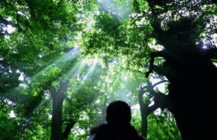 智谱AI杀入视频生成:「清影」上线,时长6秒,免费不限量