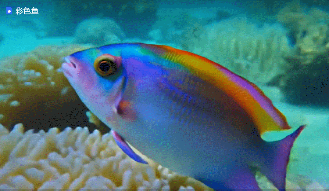 智谱AI杀入视频生成:「清影」上线,时长6秒,免费不限量