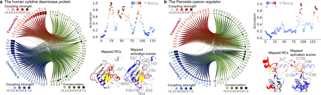 蛋白质功能预测新SOTA,上海理工、牛津等基于统计的AI方法,登Nature子刊