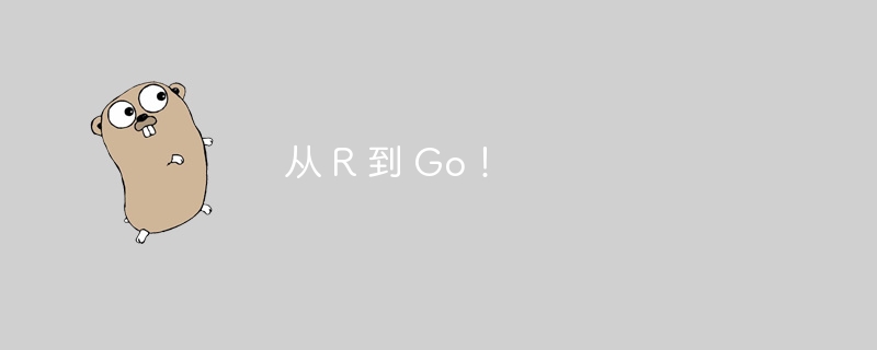 从 R 到 Go！