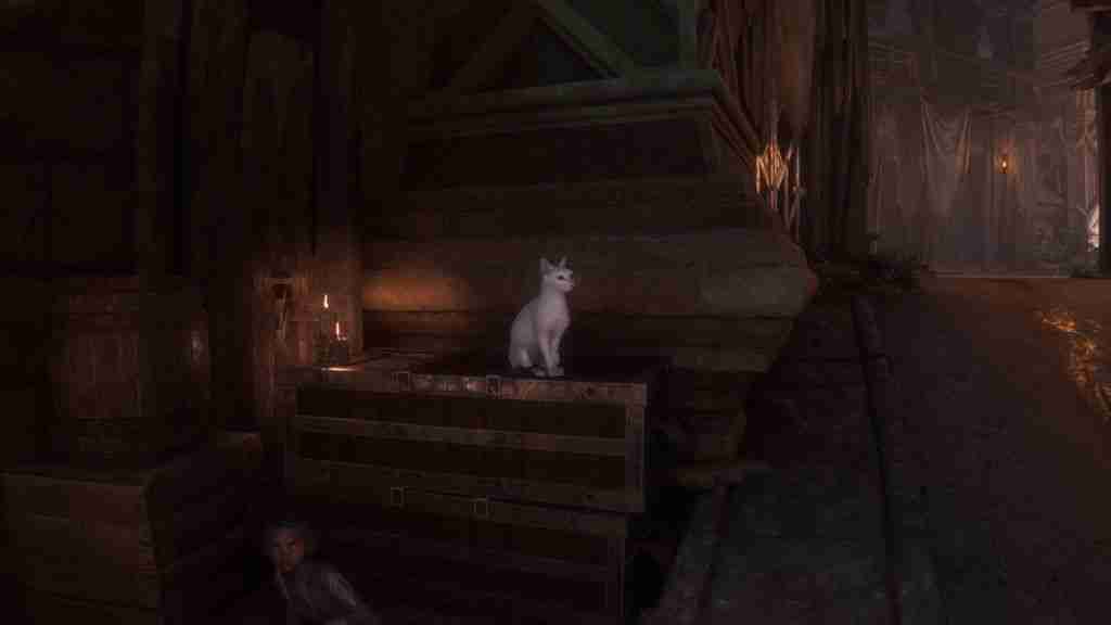 《龙腾世纪™: 影障守护者》游戏 15 张截图曝光，创新引入拍照模式