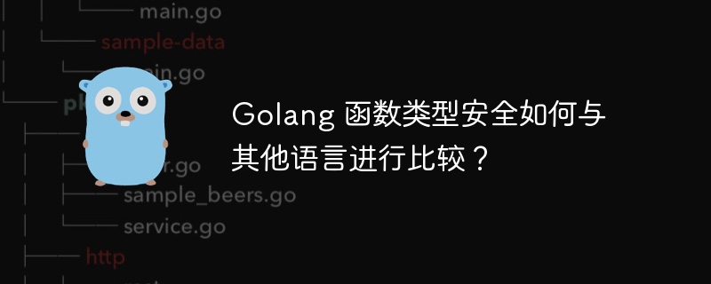 Golang 函数类型安全如何与其他语言进行比较?