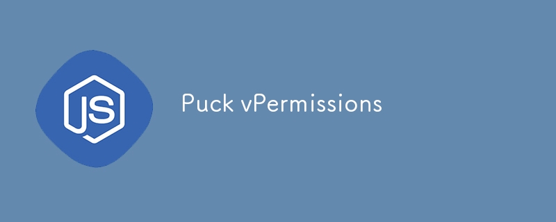 Puck vPermissions