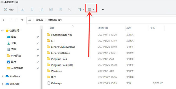 Win11怎么查看隐藏项目 Win11查看隐藏项目的方法