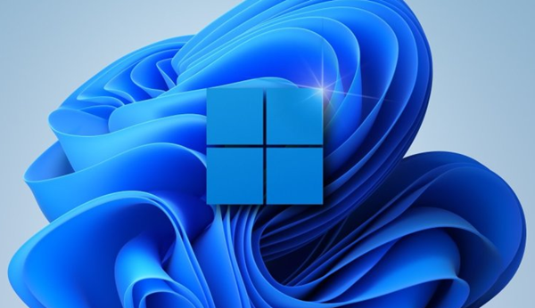 Win11怎么查看隐藏项目 Win11查看隐藏项目的方法