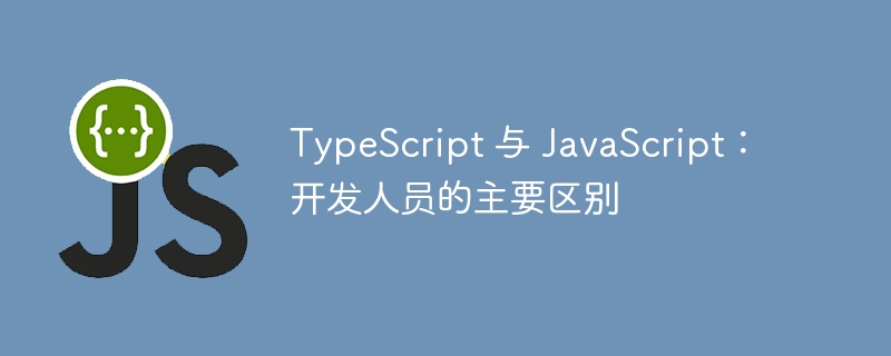 TypeScript 与 JavaScript：开发人员的主要区别