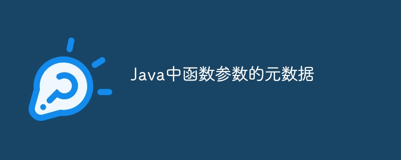 Java中函数参数的元数据