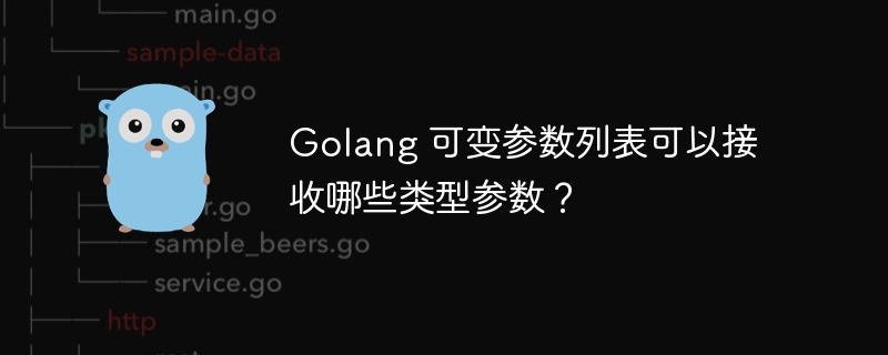 Golang 可变参数列表可以接收哪些类型参数?