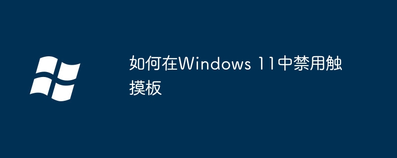 如何在Windows 11中禁用触摸板