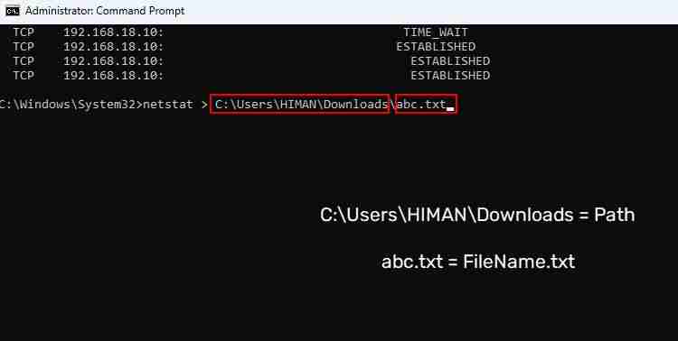 如何在Windows 11中使用Netstat命令监控网络活动