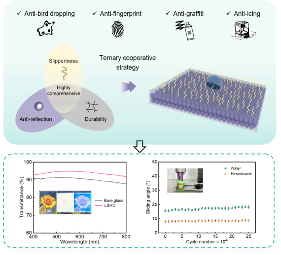 中科院贺军辉团队开发出一种耐磨、高透、拒液高综合功能表面