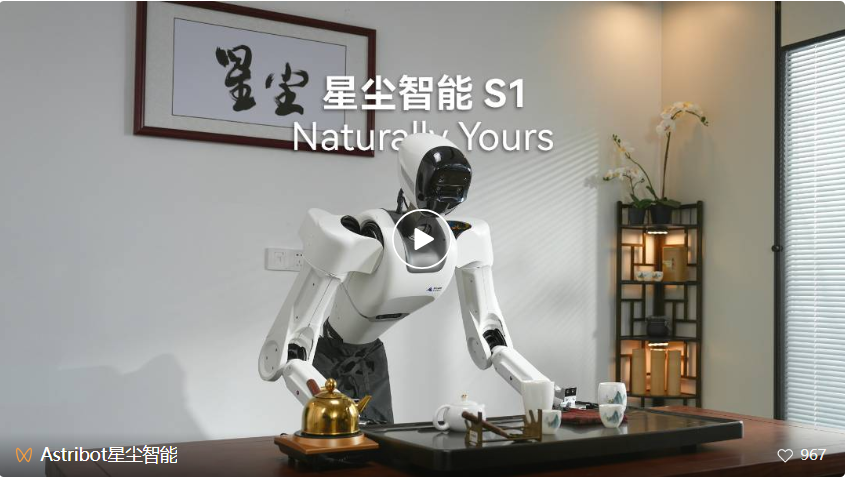 世界机器人大会上,这家承载「未来养老希望」的国产机器人被包围了