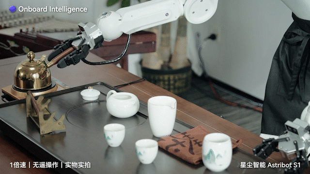 世界机器人大会上,这家承载「未来养老希望」的国产机器人被包围了