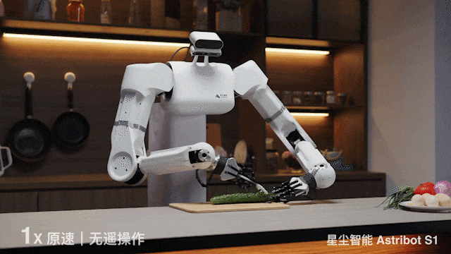 世界机器人大会上,这家承载「未来养老希望」的国产机器人被包围了