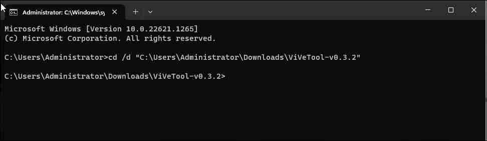 如何使用ViVeTool