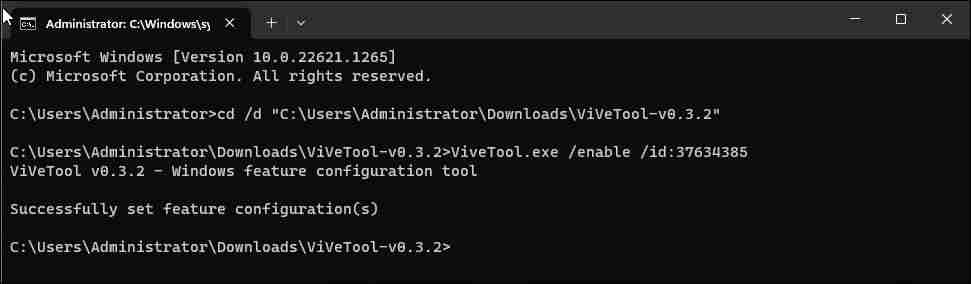 如何使用ViVeTool