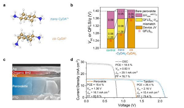 中国科学院化学所等在高效钙钛矿-有机叠层太阳电池研究方面取得重要进展